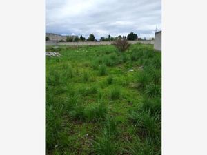 Terreno en Venta en Cacalomacán Centro Toluca