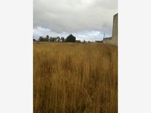 Terreno en Venta en Cacalomacán Centro Toluca