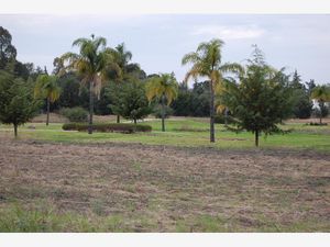 Terreno en Venta en San Gil San Juan del Río