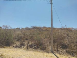 Terreno en Venta en La Venta del Astillero Zapopan