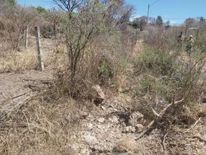 Terreno en Venta en La Venta del Astillero Zapopan