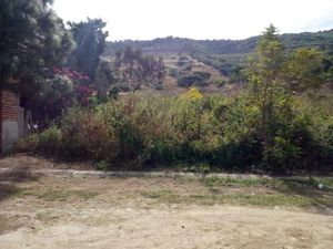 Terreno en Venta en San Diego Tlajomulco de Zúñiga