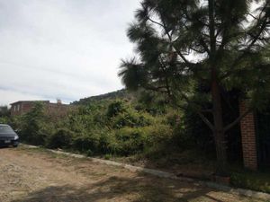 Terreno en Venta en San Diego Tlajomulco de Zúñiga