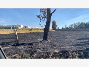 Terreno en Venta en Hacienda Cópala Zapopan