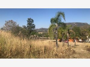 Terreno en Venta en Campestre Los Robles Zapopan