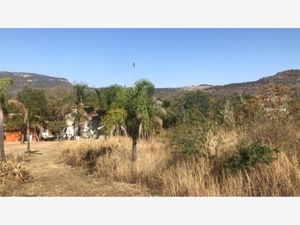 Terreno en Venta en Campestre Los Robles Zapopan