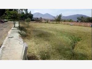 Terreno en Venta en Los Fresnos Jacona