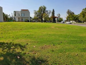 Terreno en Venta en Lago del Bosque Zamora