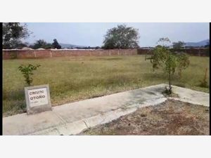 Terreno en Venta en Los Fresnos Jacona