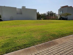 Terreno en Venta en Lago del Bosque Zamora