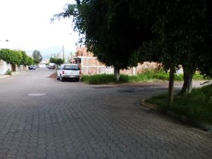 Terreno en Venta en Las Camelinas Zamora