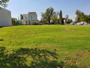 Terreno en Venta en Lago del Bosque Zamora