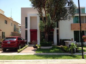 Casa en Renta en San Antonio de Ayala Irapuato