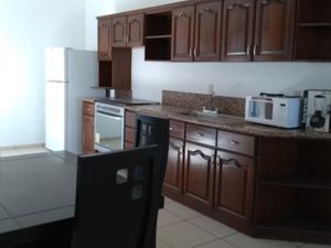 Casa en Renta en San Antonio de Ayala Irapuato