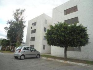 Departamento en Renta en San Miguel Irapuato