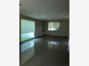 Casa en Renta en San Antonio de Ayala Irapuato