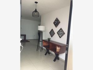 Casa en Renta en San Antonio de Ayala Irapuato