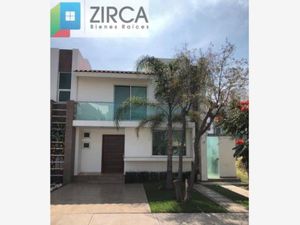 Casa en Renta en San Antonio de Ayala Irapuato