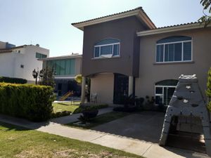 Casa en Renta en San Antonio de Ayala Irapuato