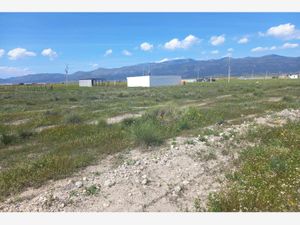 Terreno en Venta en San Ignacio de Abajo Arteaga