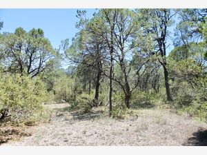 Terreno en Venta en Los Llanos Arteaga