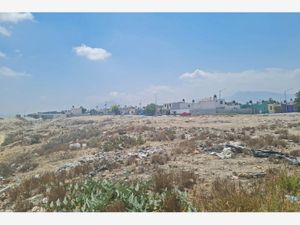 Terreno en Venta en El Cactus Ramos Arizpe