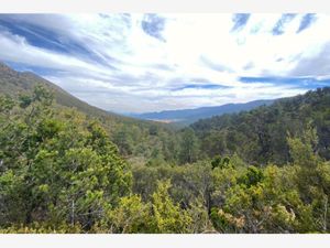 Terreno en Venta en Sierra Hermosa Arteaga