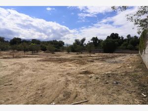 Terreno en Venta en La Herradura Saltillo