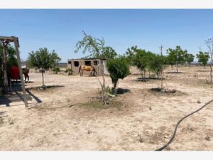 Terreno en Venta en La Rosa General Cepeda