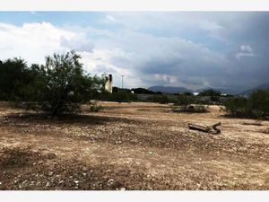 Terreno en Venta en Torrecillas y Ramones Saltillo