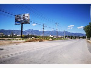 Terreno en Renta en Torrecillas y Ramones Saltillo