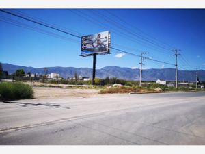 Terreno en Renta en Torrecillas y Ramones Saltillo