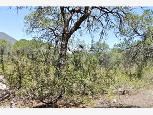 Terreno en Venta en Los Llanos Arteaga