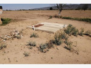 Terreno en Renta en El Derramadero Saltillo