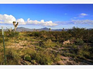 Terreno en Venta en El Derramadero Saltillo