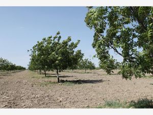 Terreno en Venta en Trincheras Parras