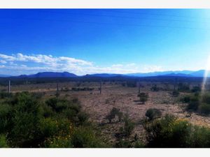 Terreno en Renta en Paredón Ramos Arizpe