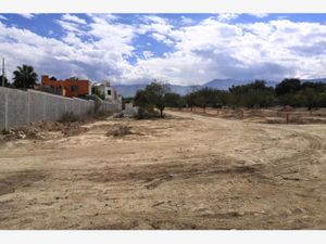 Terreno en Venta en La Herradura Saltillo