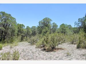 Terreno en Venta en Los Llanos Arteaga