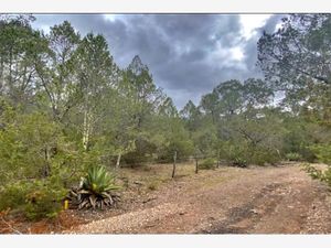 Terreno en Venta en Sierra Hermosa Arteaga