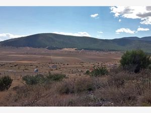 Terreno en Venta en Los Llanos Arteaga