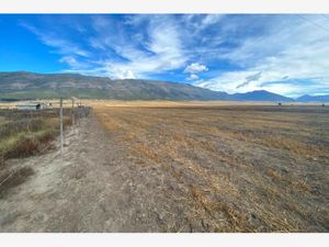 Terreno en Venta en San Juanito (San Juanito de los Valdez) Arteaga