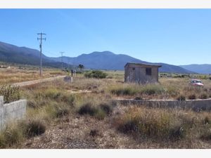 Terreno en Venta en San Antonio de las Alazanas Arteaga