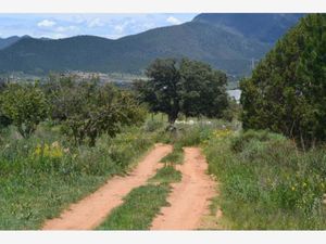 Terreno en Venta en San Juan de los Dolores Arteaga