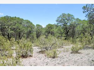 Terreno en Venta en Los Llanos Arteaga