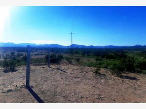 Terreno en Renta en Paredón Ramos Arizpe