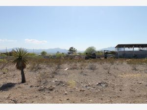 Terreno en Venta en Fraccionamiento las Casas Arteaga