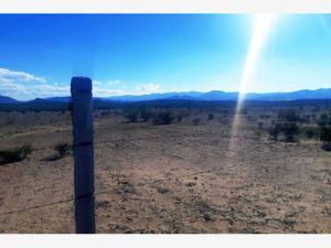 Terreno en Renta en Paredón Ramos Arizpe