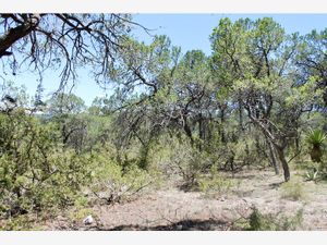 Terreno en Venta en Los Llanos Arteaga