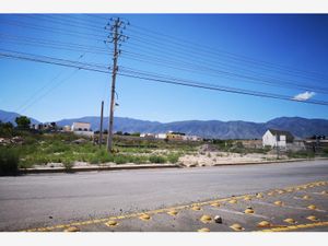 Terreno en Renta en Torrecillas y Ramones Saltillo